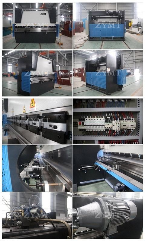 Overall Welded Highest Precision CNC Hydraulic Press Brake