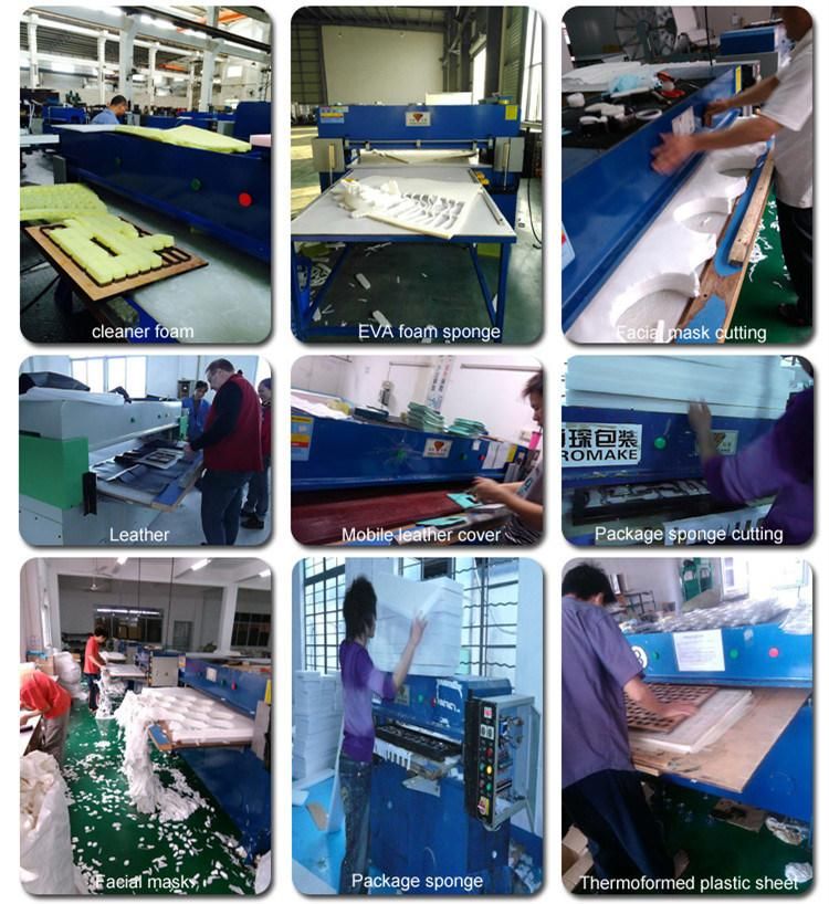 China Supplier Hydraulic Sponge Brush Press Cutting Machine (HG-B30T)