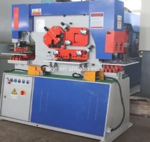 Manufacture Q35y-20 Mini Hydraulic Plate Hole Punching and Angle Shearing Machine Hydraulic Ironworker Price