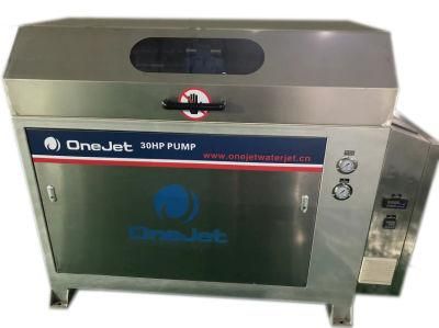 Onejet30 High Pressure Pump for Pure Water Jet Cutting