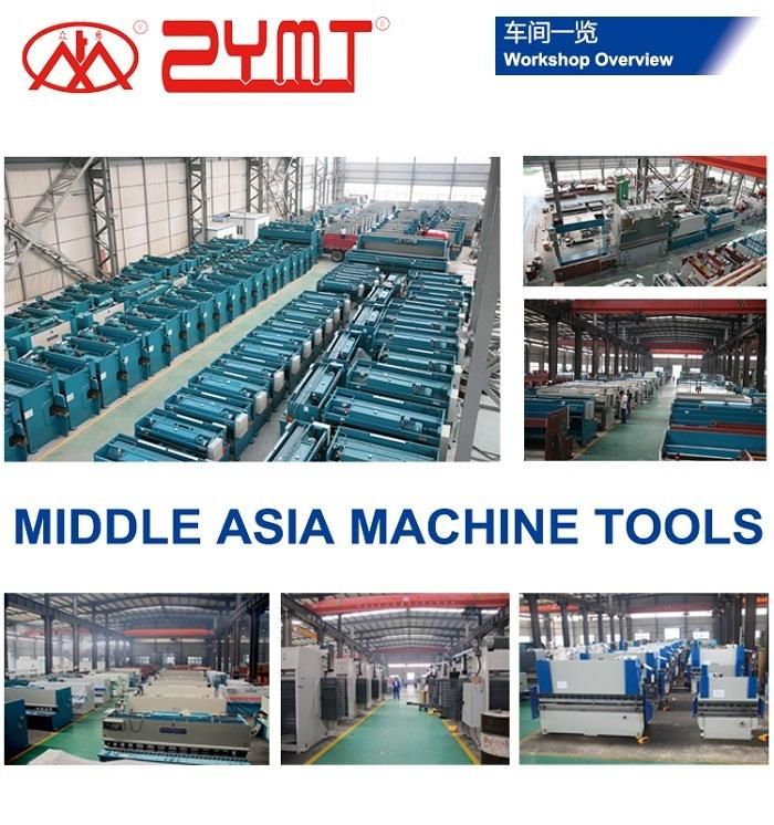 Ce Supply Sheet Metal Folding Machine (WC67k-160T/5000) with Controller