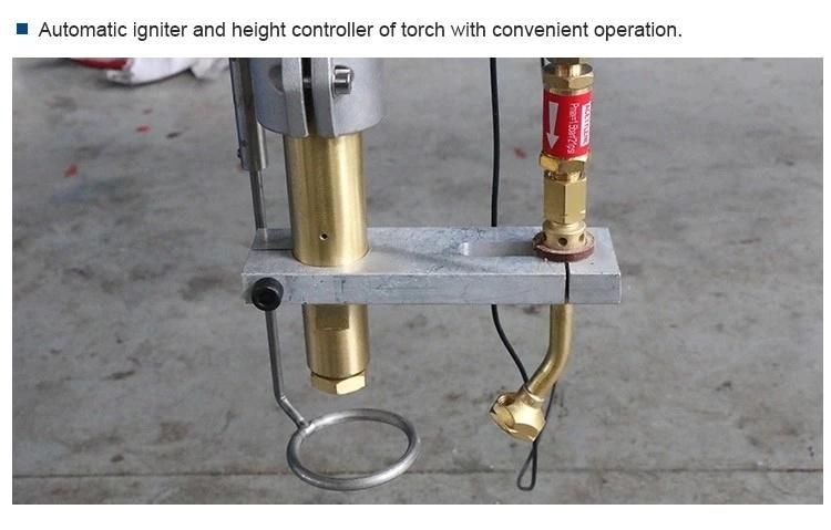 CNC Steel Plate Automatic Gantry Type Plasma Flame Gas Cutting Machine