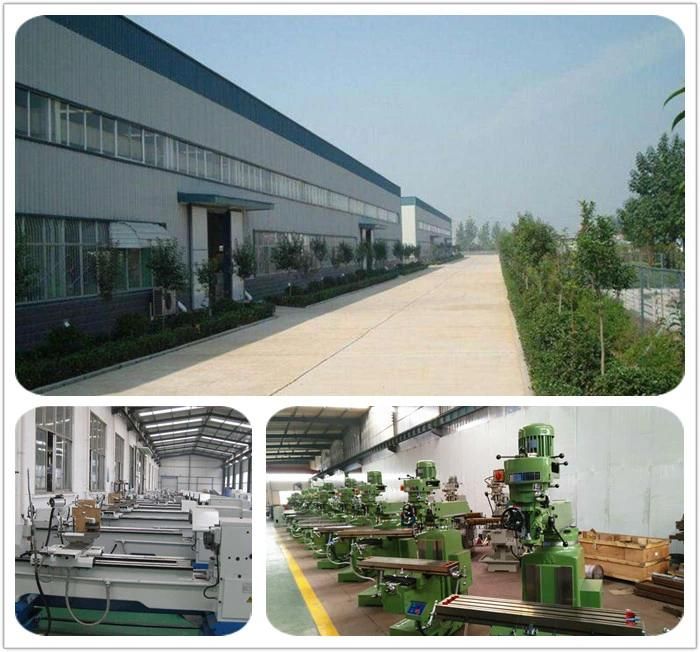 Europe Standard, Electric Shearing Machine, Hydraulic Metal Cutting Machine, Hydraulic Swing Beam Shear