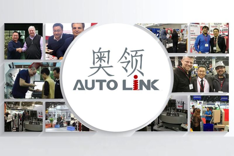 Autolink China Factory Prices Metal 3-Axis 3D CNC Automatic Steel Wire Bending Machine