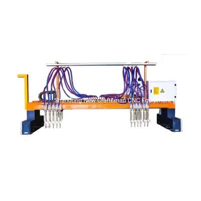 220V 10mm Inverter Air Gantry Portable CNC Plasma Cutting Machine Price Servo Motor