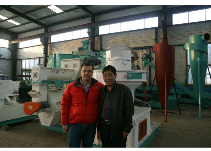 Professional Straw Rotary Cutting Equipment