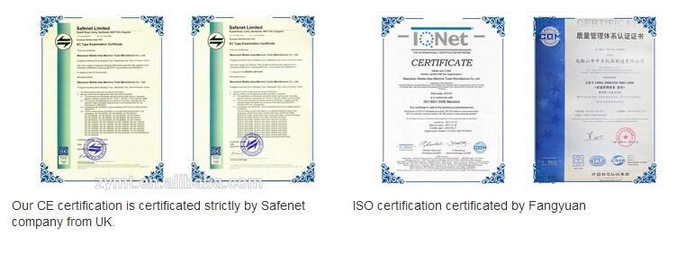 Hydraulic Shearing Machine (ZYS-40*2500) /China 2015 New Type Ce*ISO9001 Certification