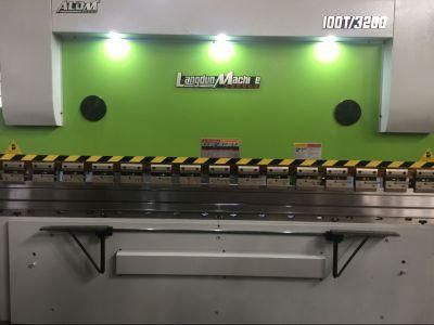 Jiangsu Nanjing Carbon Steel Aldm CNC Press Brake Machine 100t 3200mm