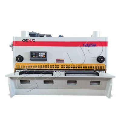 Estun Controller CNC Hydraulic Swing Beam Shear with 10mm Thickness