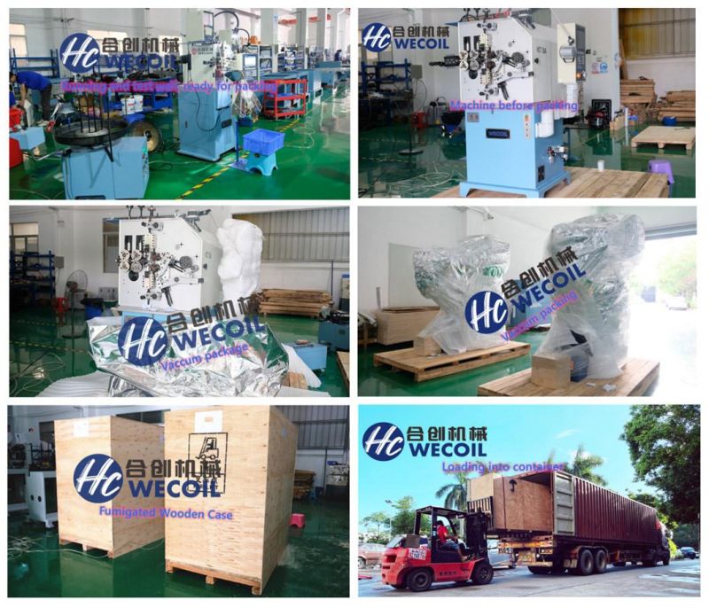 WECOIL-HCT-1245WZ greenhouse fruit & vegetable hooks spring machine