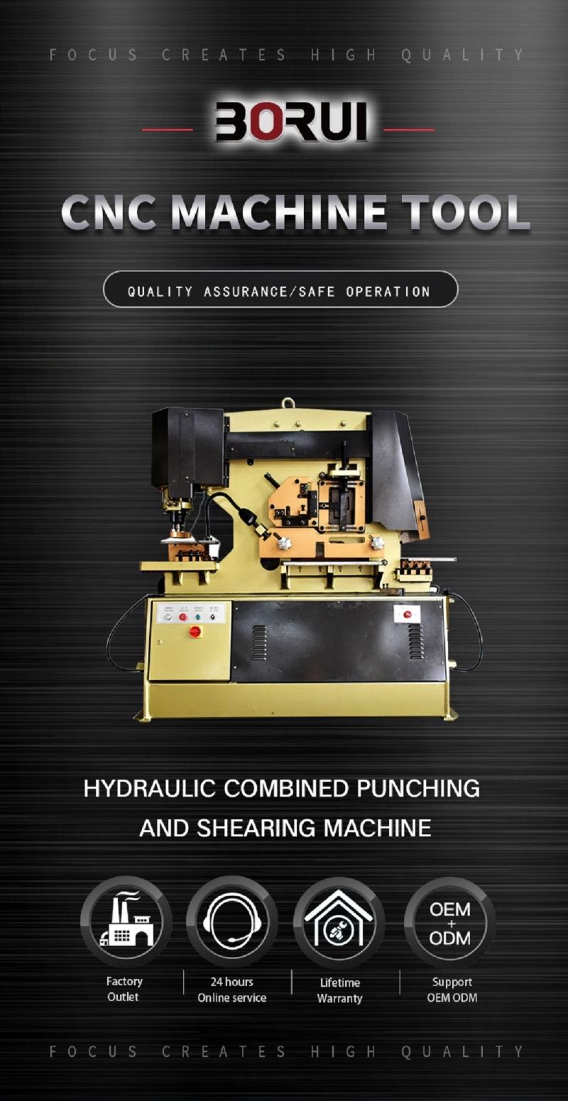 Hydraulic Universal Metal Plate Combine Iron Worker Punching and Shearing Machine Q35br-250