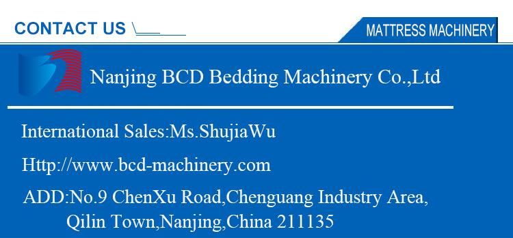 Model Bpq-Wd2150 Foaming Horizontal Cutting Machine (mesh belt)