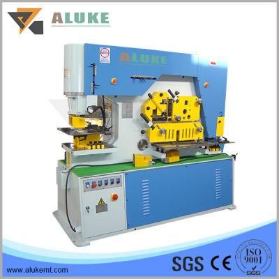 2016 Unique Style Useful Combined Punch and Shear Machine