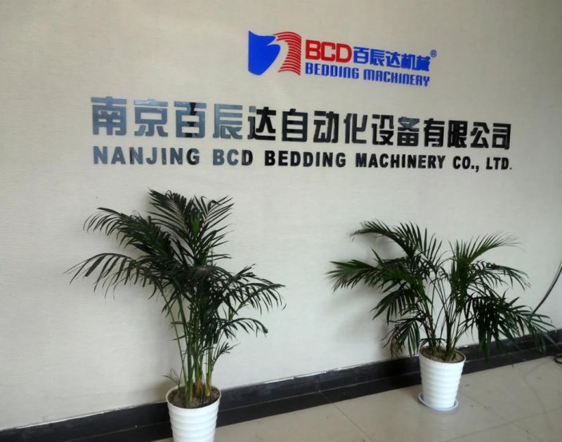 Model Bpq-Wd2150 Foam Cross Cutting Machine