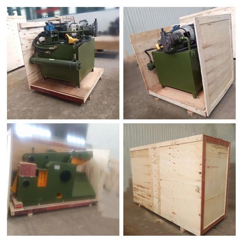 Scrap Copper Steel Cutting Machine/Hydraulic Crocodile Shearing Machine