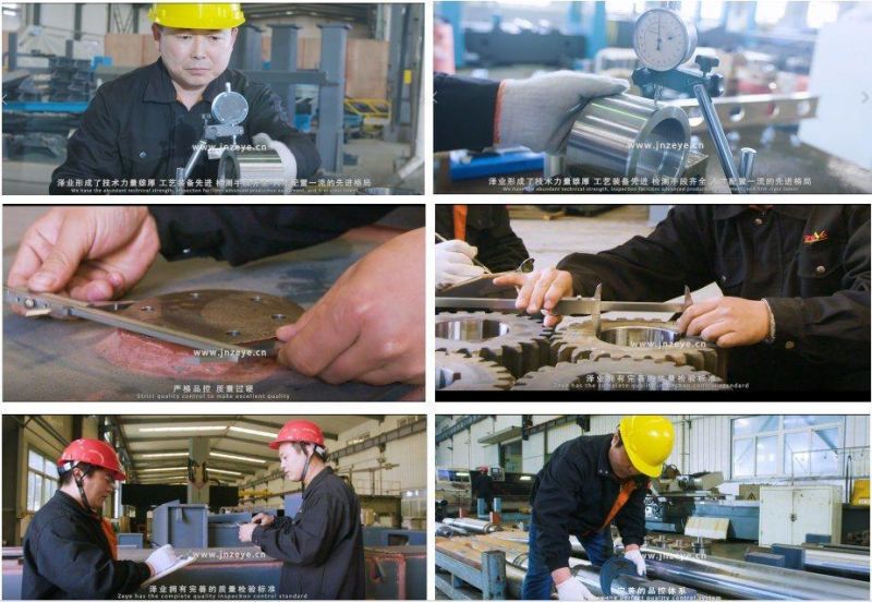 Duoble Shear High Design Economic Plate Shear Machinery for Hr Coil Metal Strips Rebar Steel Plate Carbon Steel Sheet