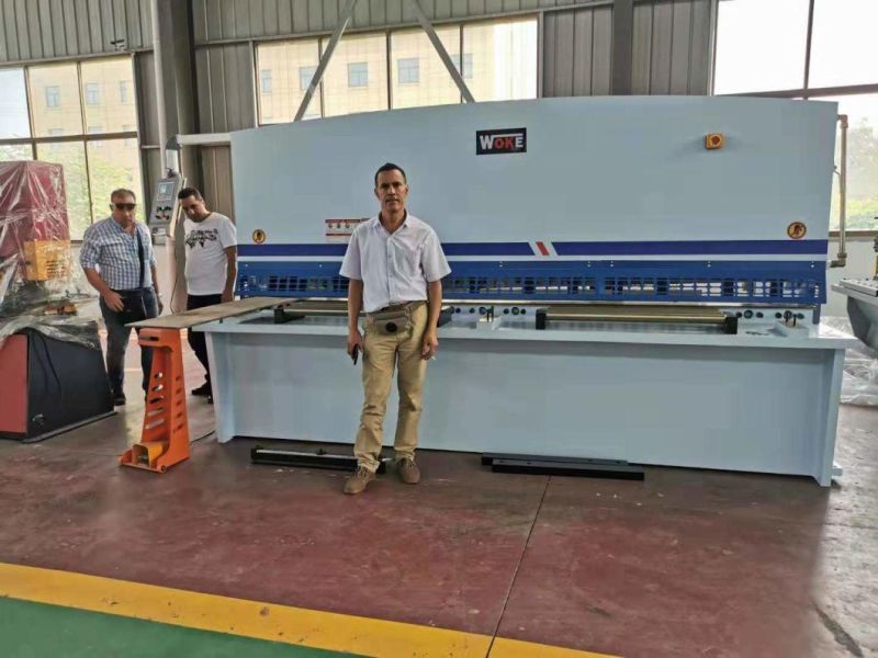 Export Standard Hydraulic Guillotine Cutting Machine 12X3200mm