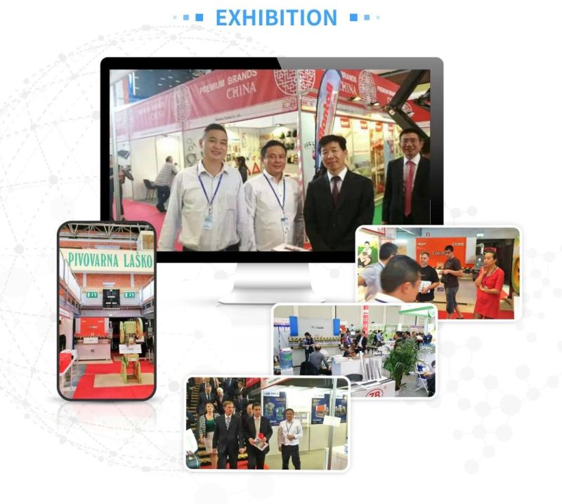 3 Years Automatic Steel Coil Slitting Machine CNC Shearing machine