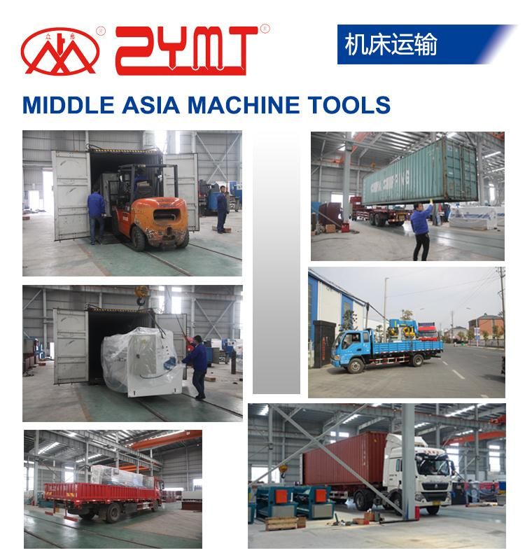 Easy Operation CNC Press Brake Bending Machine with Double Linkage